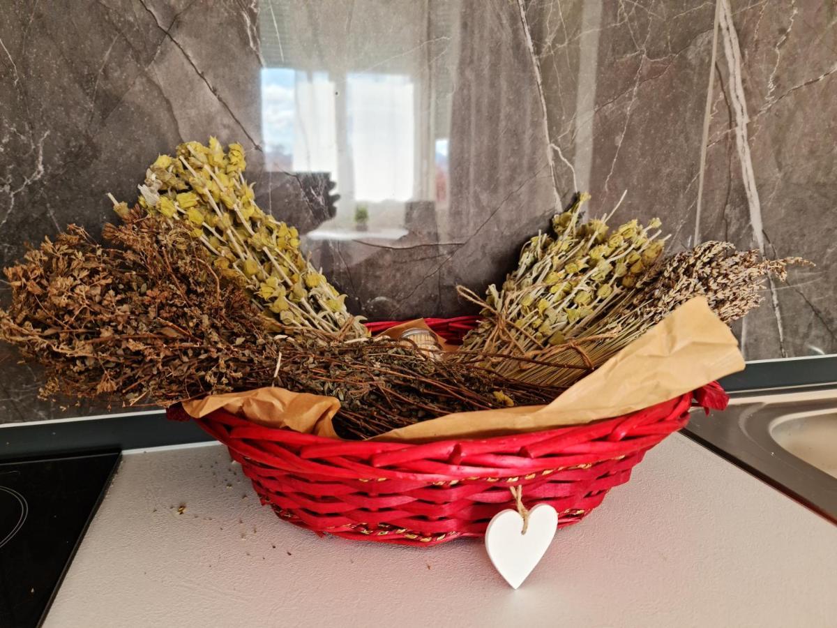 Lovely One Bedroom Studio In تيرانا المظهر الخارجي الصورة